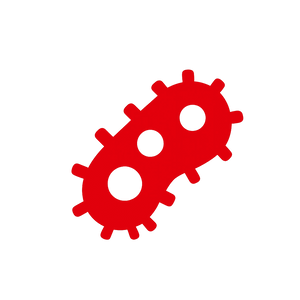 Secondary Disinfection